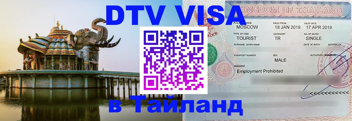 Оформление DTV визы под ключ: стоимость и тарифы, только загранпаспорт - 19.11.2025 